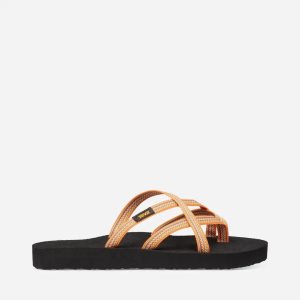 Teva Olowahu Klipklapper Dame Orange (DK PMBX)